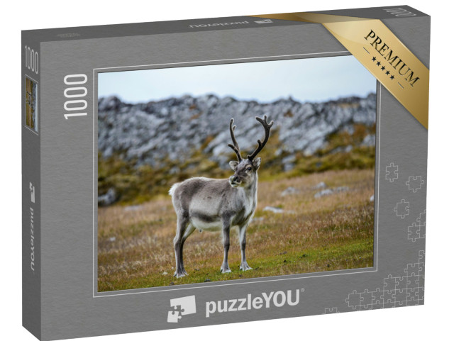 Puzzel 1000 stukjes „Rendieren in hun natuurlijke omgeving“