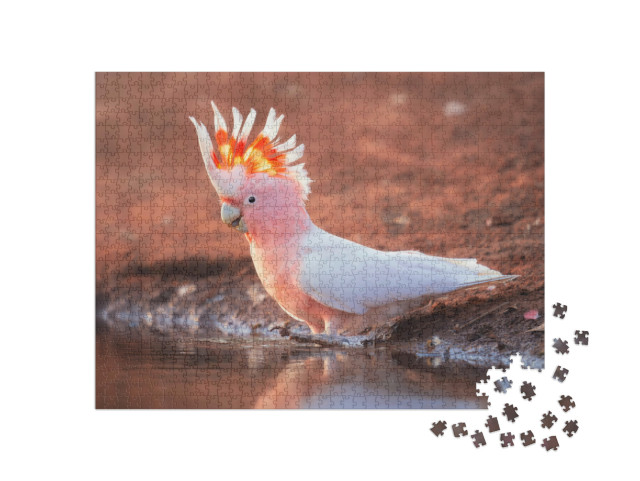 Puzzel 1000 stukjes „Wilde roze kaketoe“