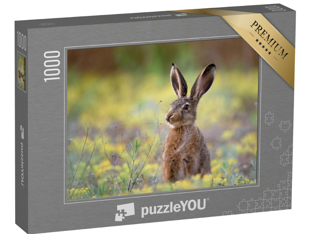 Puzzel 1000 stukjes „Europese haas in het gras“