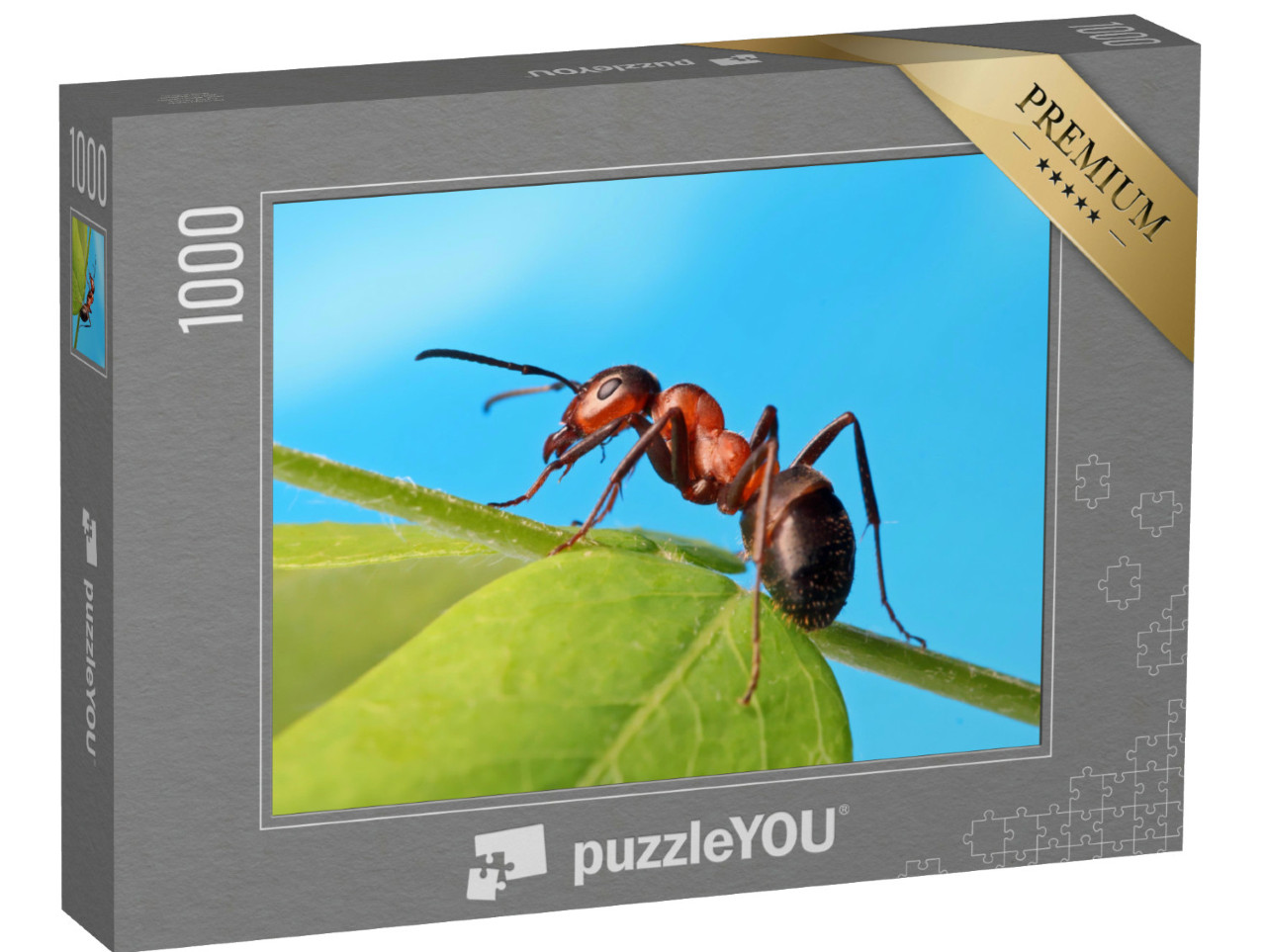 Puzzel 1000 stukjes „Mier ontspant in het gras“