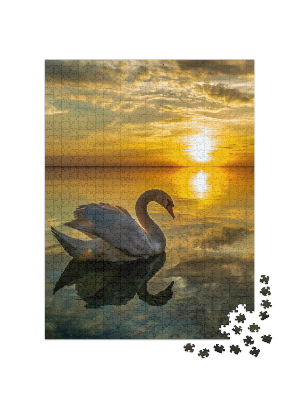 Puzzel 1000 stukjes „Witte zwaan in kalm water bij zonsondergang“