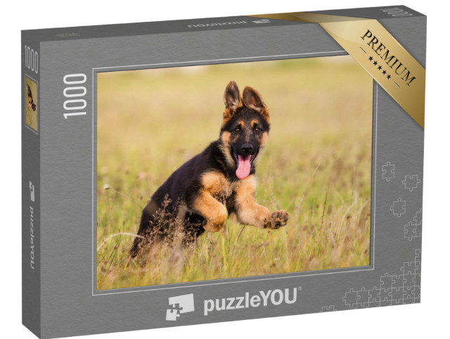 Puzzel 1000 stukjes „Duitse herder puppy rent door het gras“