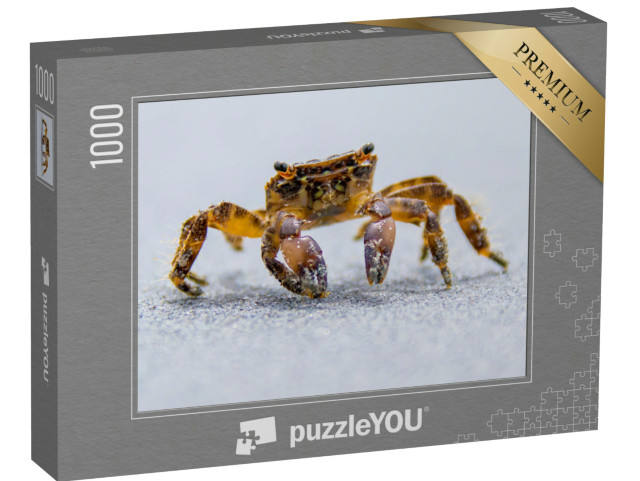 Puzzel 1000 stukjes „Krab aan zee“