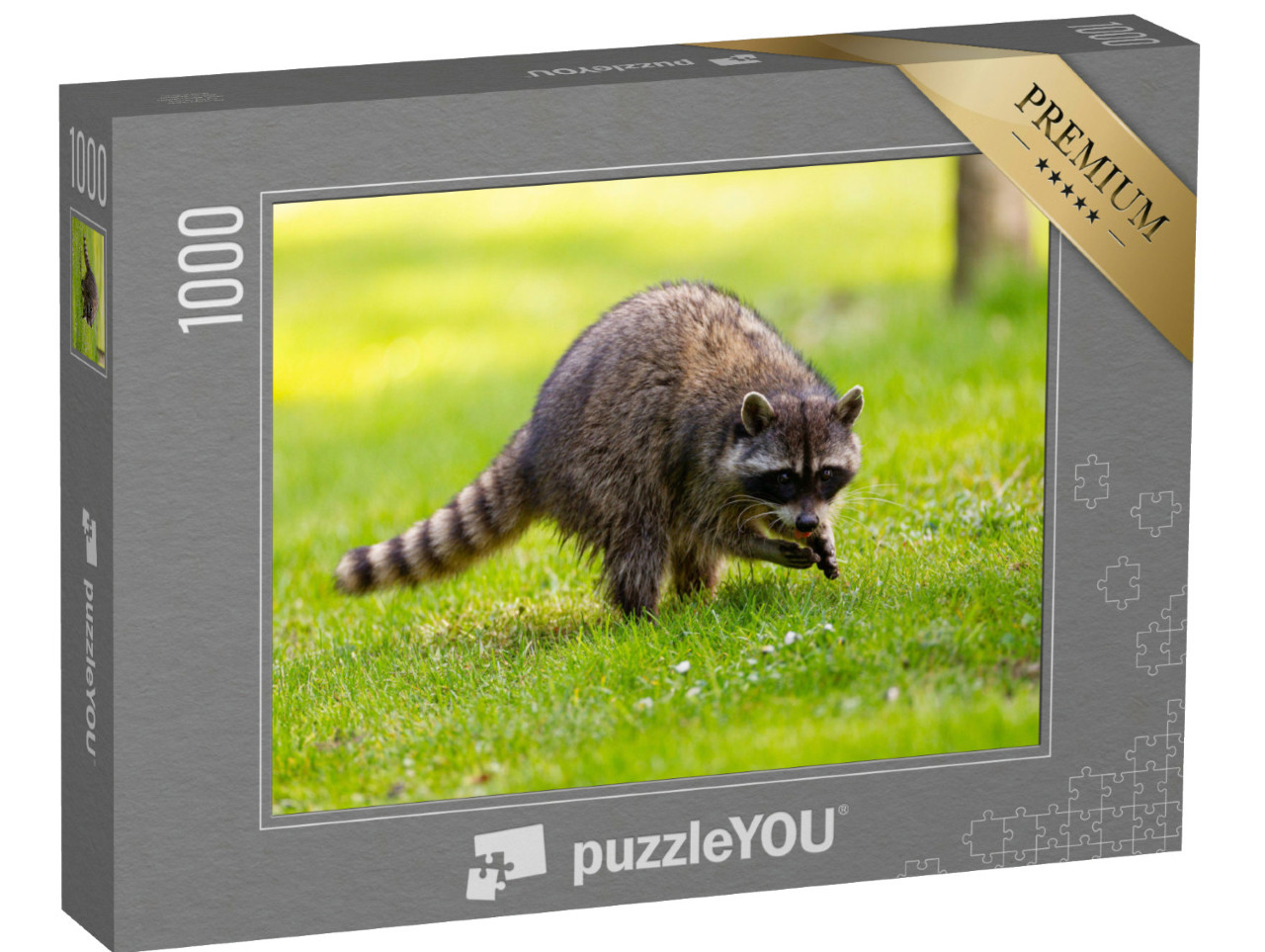 Puzzel 1000 stukjes „Wasbeer in Stanley Park, British Columbia, Canada“
