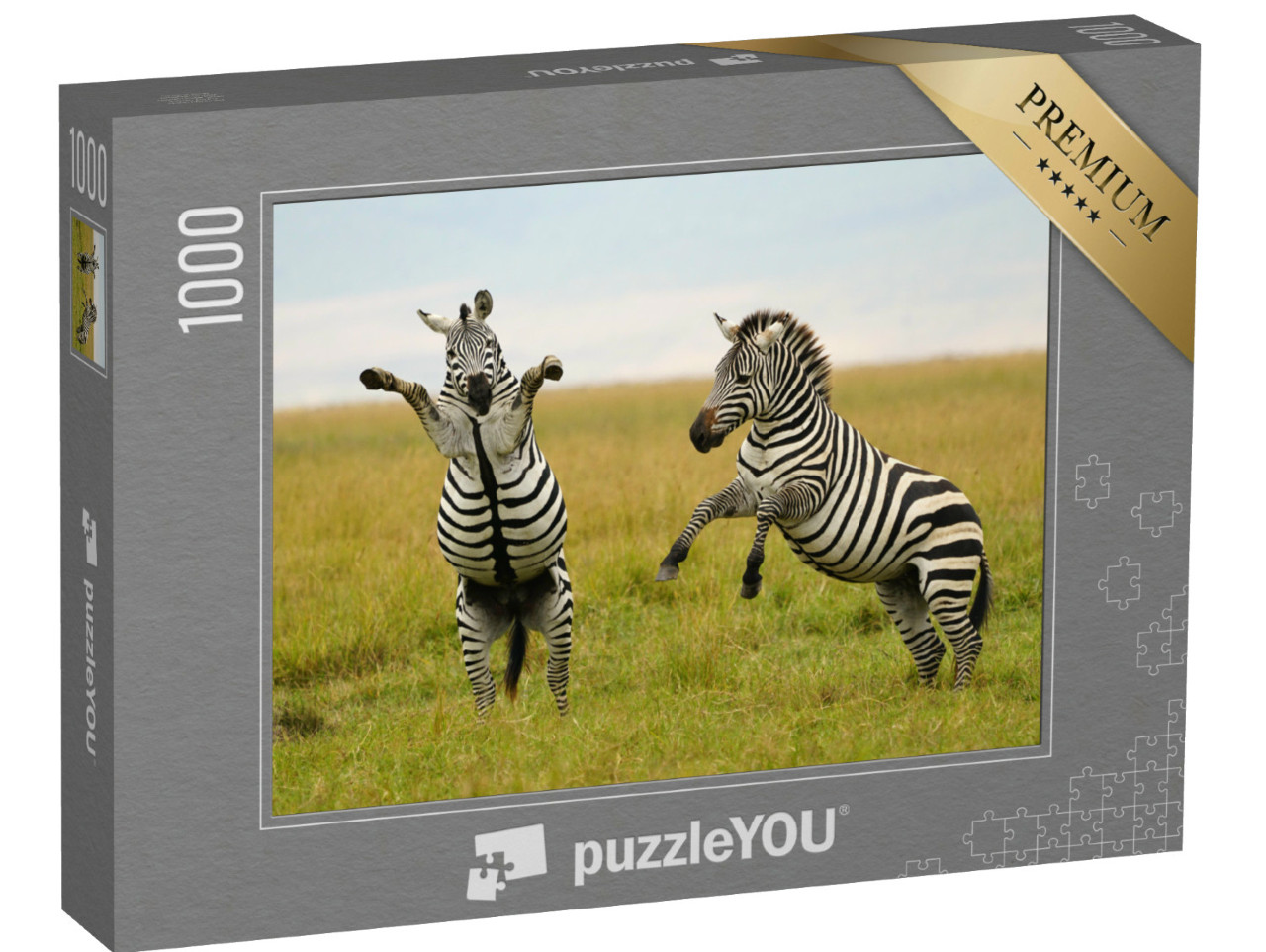Puzzel 1000 stukjes „Wild of gevecht? Burchell's of vlakte zebra“