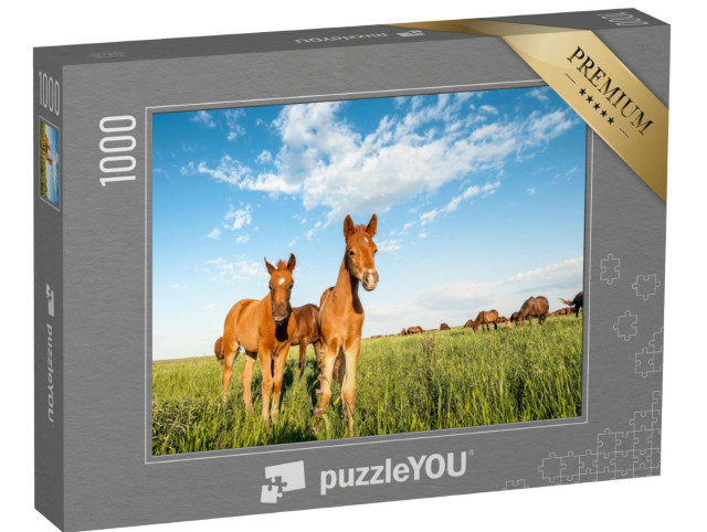 Puzzel 1000 stukjes „Nieuwsgierige veulens op de weide van het Rostov Staatsreservaat“
