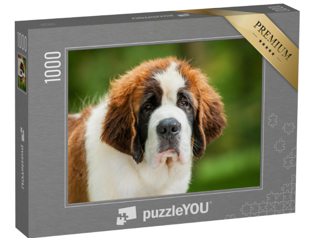 Puzzel 1000 stukjes „Portret van een sint-bernard puppy“