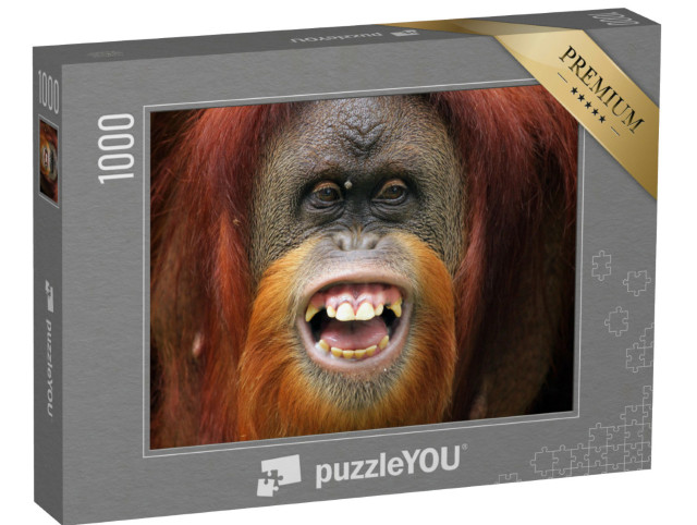 Puzzel 1000 stukjes „Gezicht van orang-oetan Sumateran“