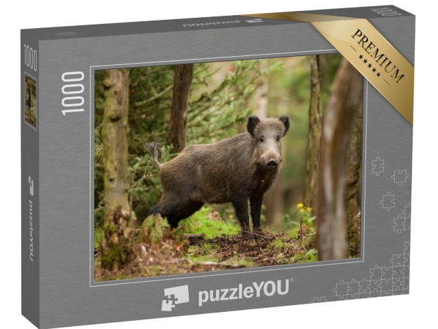 Puzzel 1000 stukjes „Wilde zwijnen in Tsjechië“