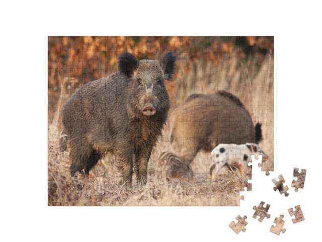 Puzzel 200 stukjes „Wild zwijn beschermt zijn jongen“