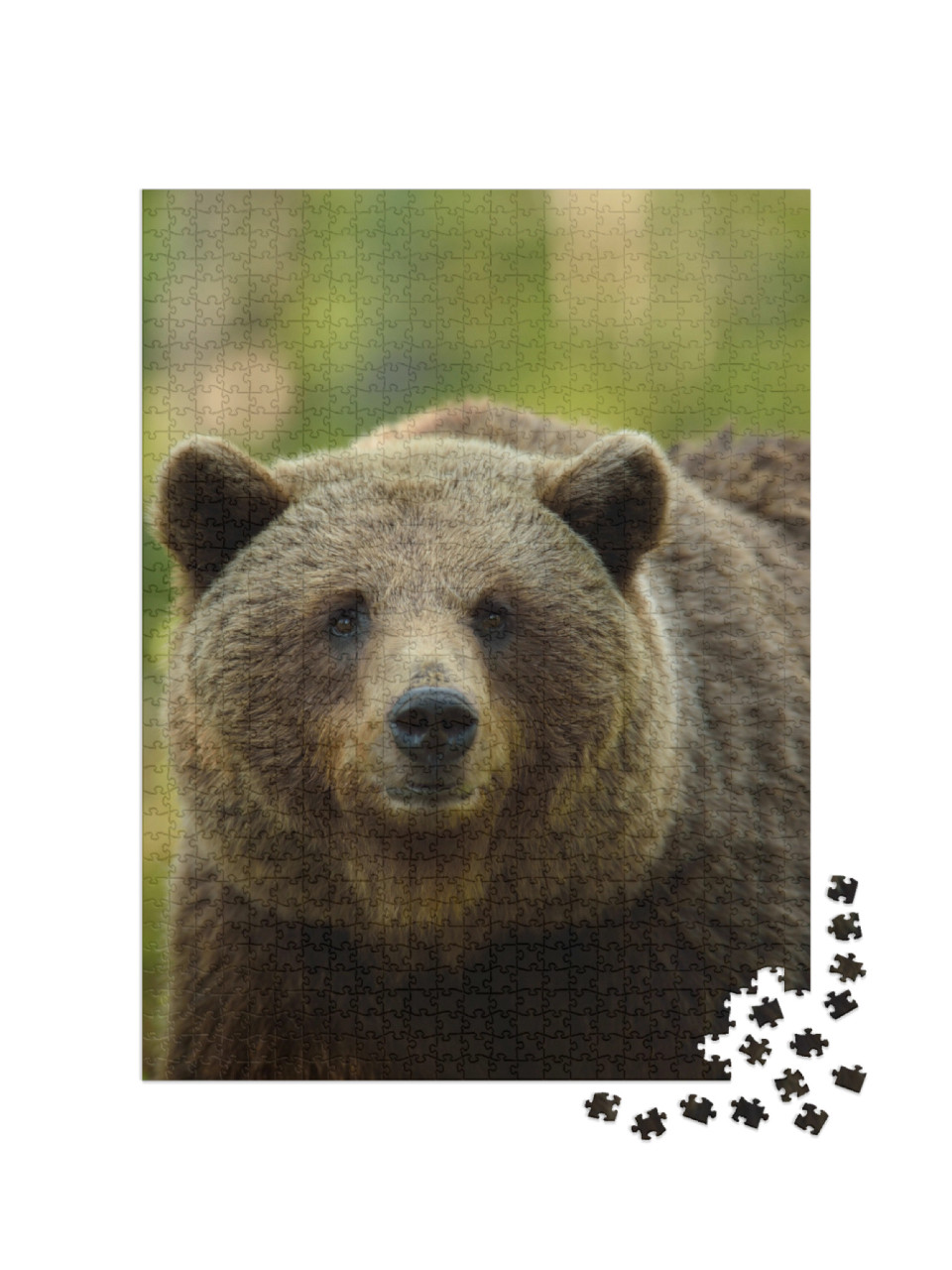Puzzel 1000 stukjes „De bruine beer in het bos“