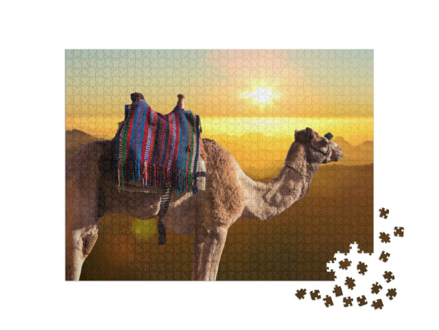 Puzzel 1000 stukjes „Dromedariskameel voor de berg van Sint Mozes, Egypte, Sinaï“