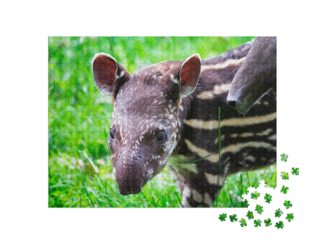 Puzzel 1000 stukjes „Negen dagen oude tapir in het groene gras“