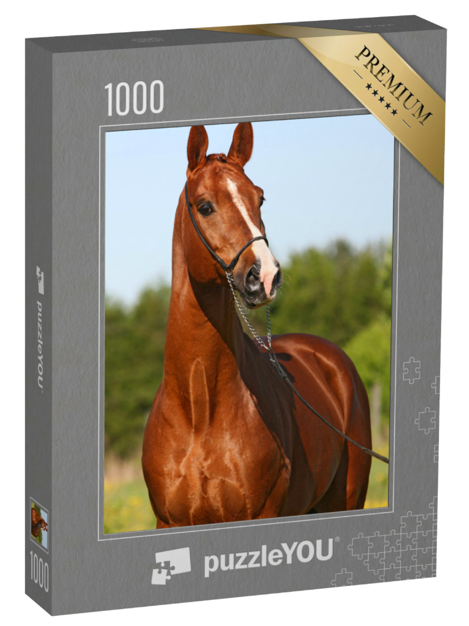Puzzel 1000 stukjes „Kastanjekleurige Trakehner hengst“