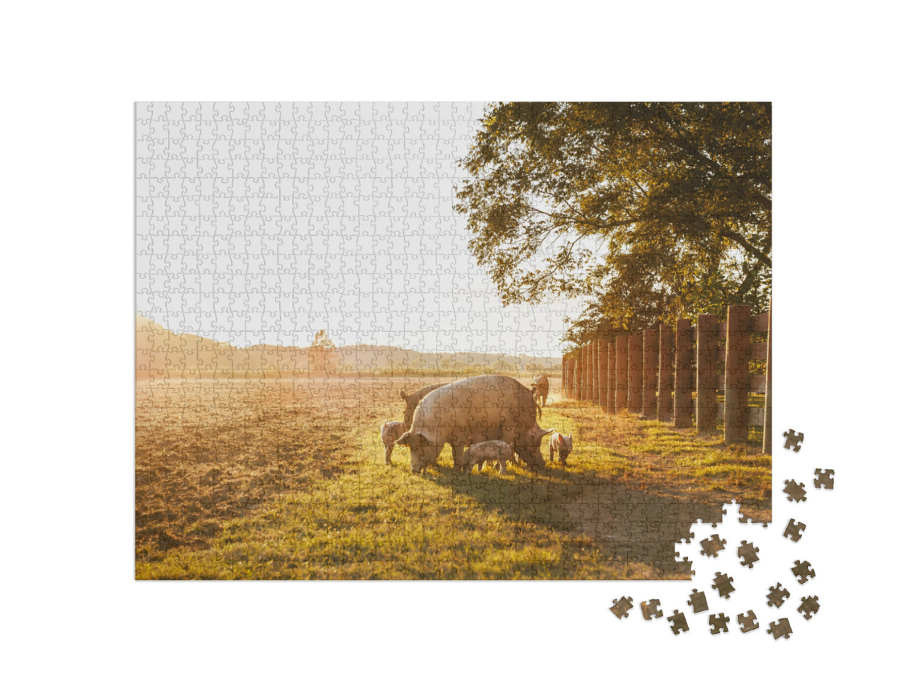 Puzzel 1000 stukjes „Gedomesticeerd varken met biggen in een weide“