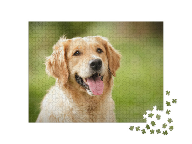 Puzzel 1000 stukjes „Prachtige close-up van een Golden Retriever“