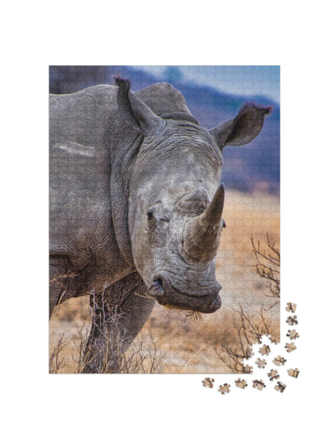 Puzzel 1000 stukjes „Witte neushoorn, Khama neushoornreservaat, Botswana“