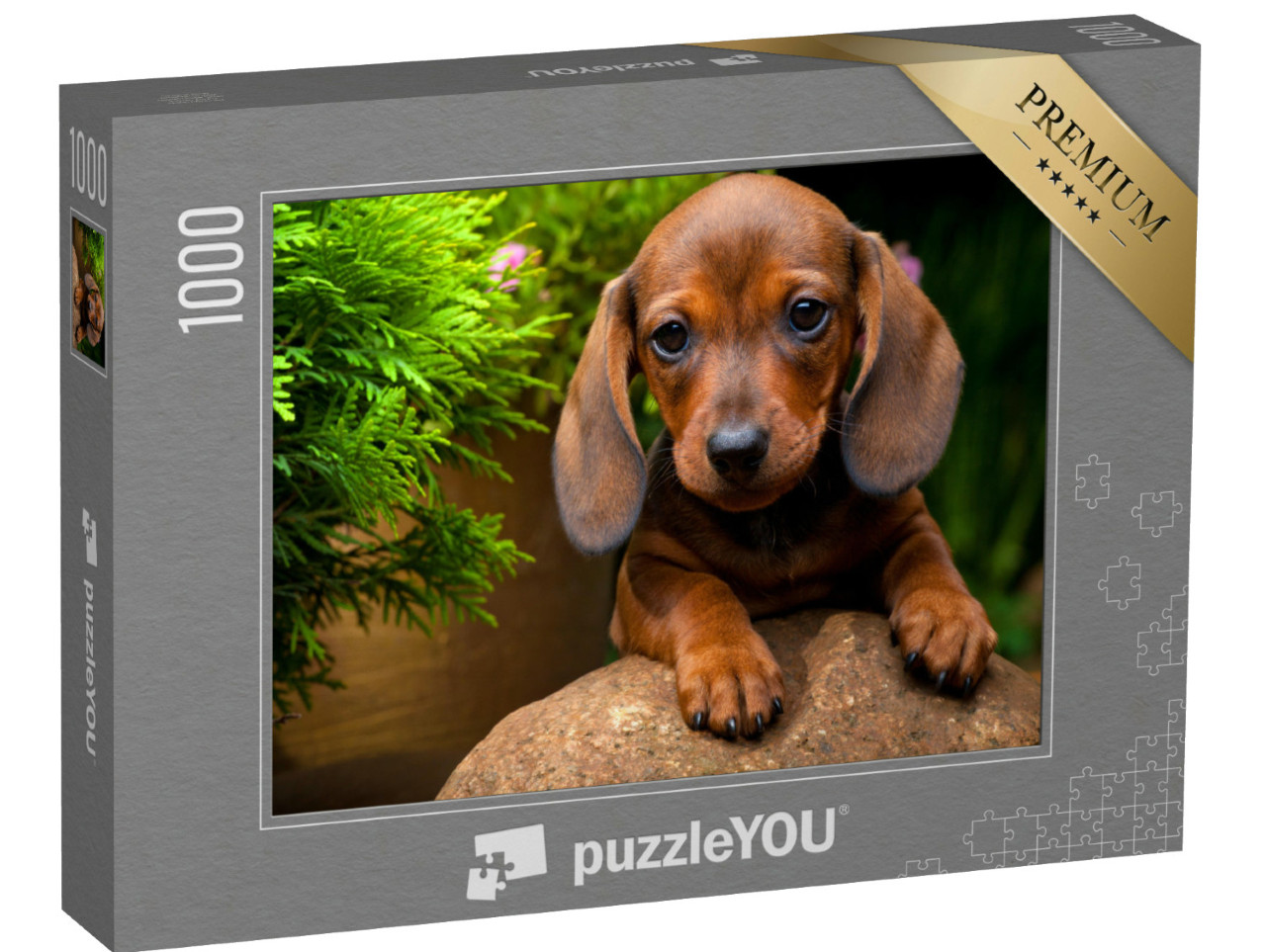 Puzzel 1000 stukjes „Zomertuin met teckel“
