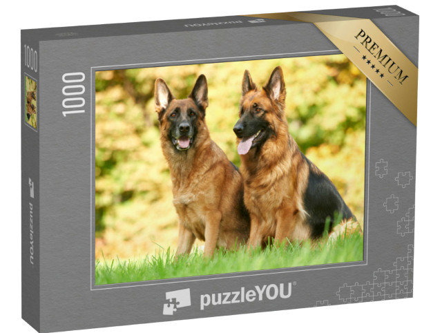 Puzzel 1000 stukjes „Twee Duitse Herders zittend in het gras“
