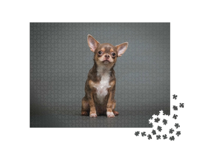 Puzzel 1000 stukjes „Chihuahua puppy“