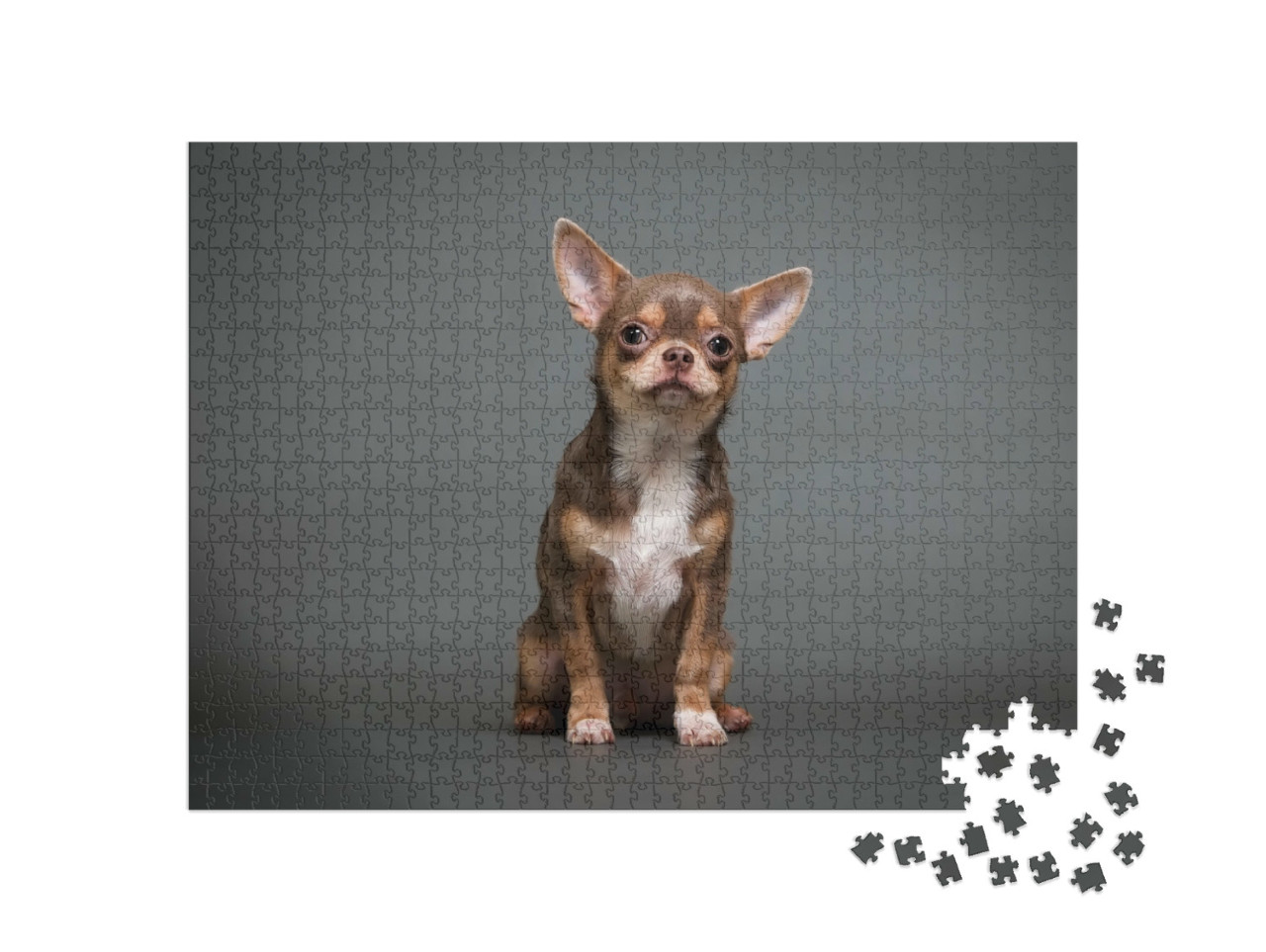 Puzzel 1000 stukjes „Chihuahua puppy“