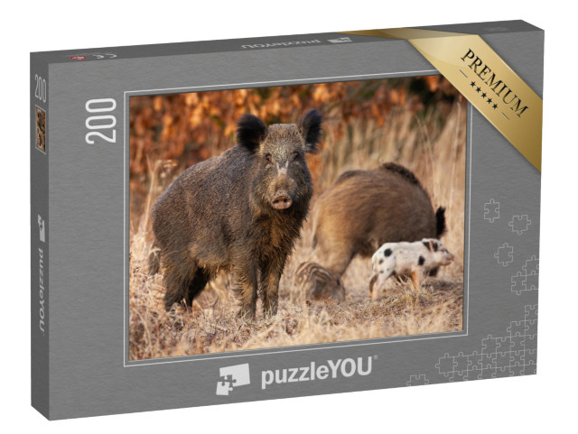 Puzzel 200 stukjes „Wild zwijn beschermt zijn jongen“