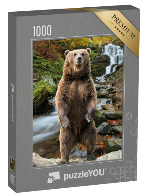 Puzzel 1000 stukjes „Een bruine beer in het herfstbos“