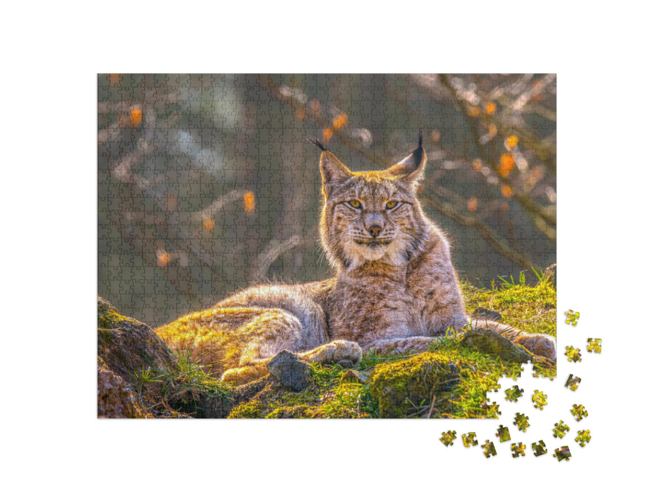 Puzzel 1000 stukjes „Jonge lynx in de wildernis van het bos“