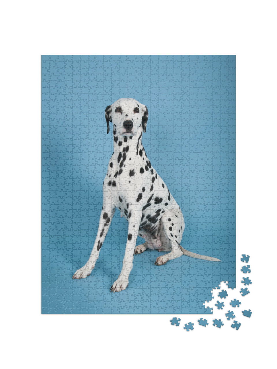 Puzzel 1000 stukjes „Dalmatiër“