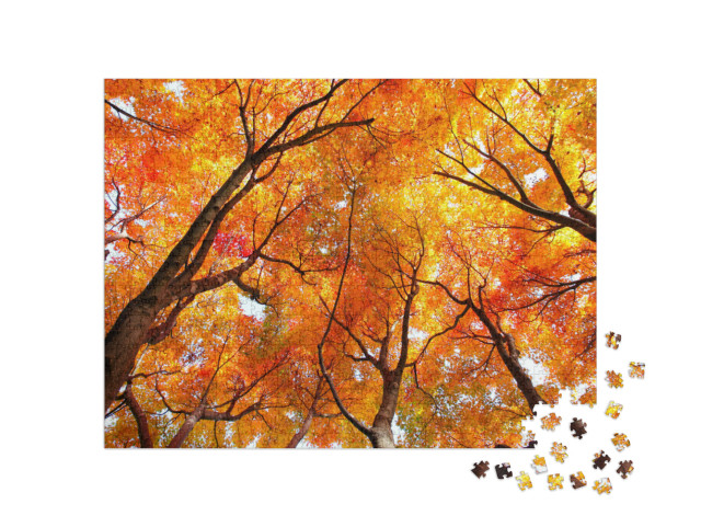 Puzzel 1000 stukjes „Esdoorns in de herfst“