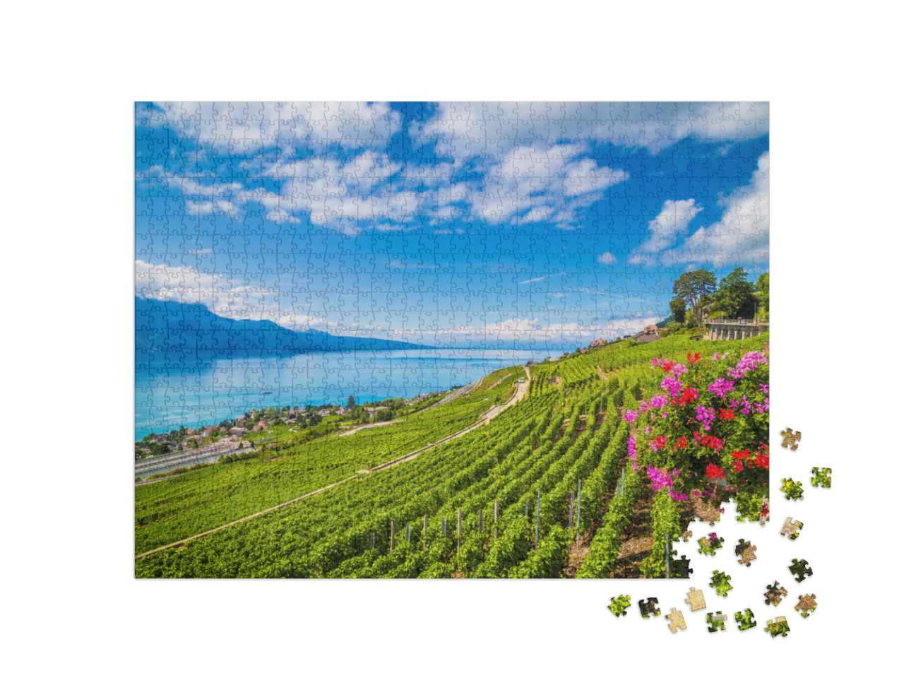 Puzzel 1000 stukjes „Lavaux wijngaardterrassen, UNESCO werelderfgoed, Zwitserland“
