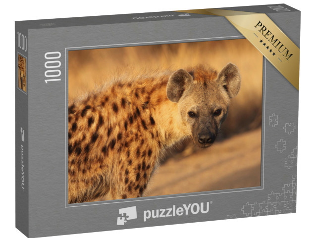 Puzzel 1000 stukjes „Close-up van een gevlekte hyena“