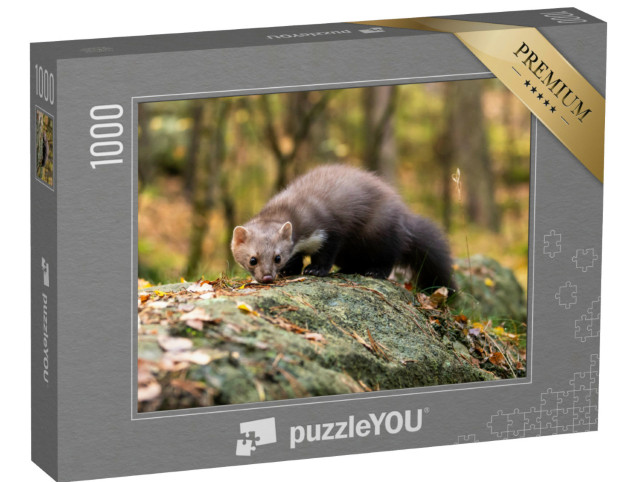 Puzzel 1000 stukjes „Europese boommarters op zoek naar voedsel in het bos“