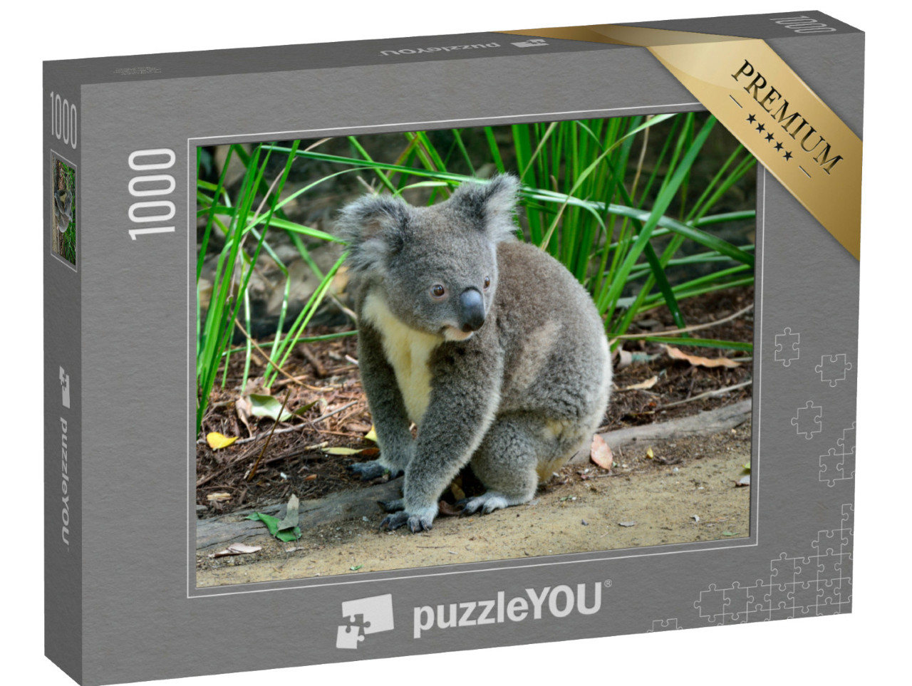 Puzzel 1000 stukjes „Nieuwsgierige koala, zittend op de grond“