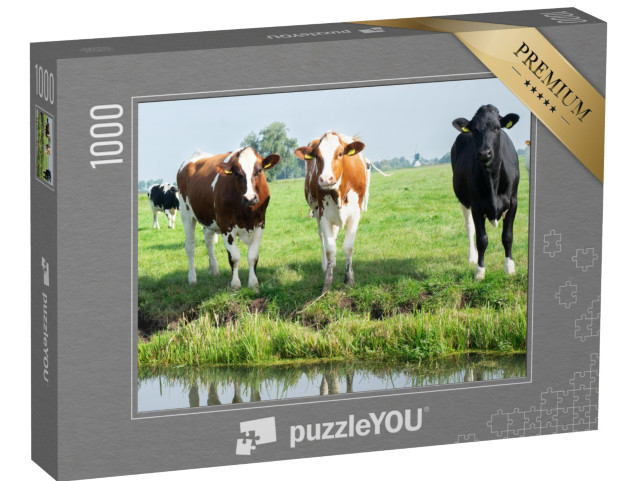 Puzzel 1000 stukjes „Koeien in een weiland bij Woerden in de provincie Utrecht“