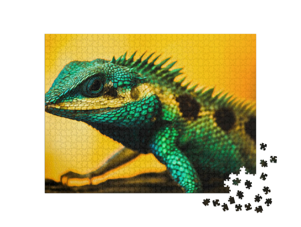 Puzzel 1000 stukjes „Hagedis water draak“