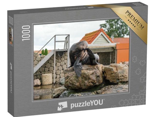 Puzzel 1000 stukjes „Zeehonden op een rots in het Dolfinarium in Harderwijk“