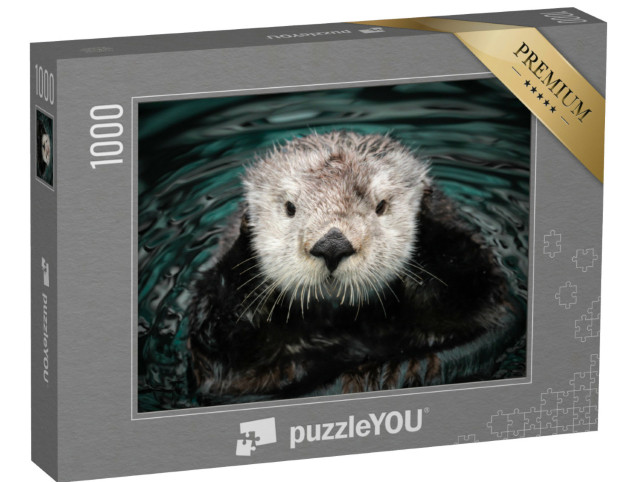Puzzel 1000 stukjes „Zeeotters in het water“
