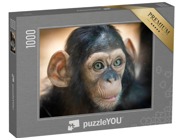 Puzzel 1000 stukjes „Portret van een baby chimpansee in Pilsen, Tsjechië“