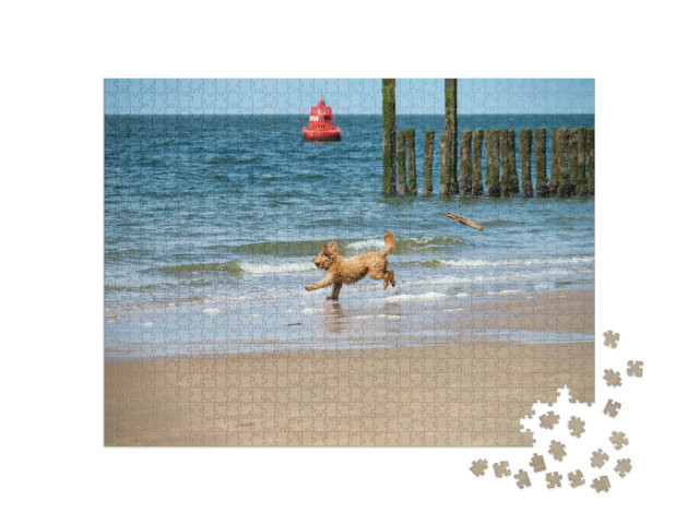 Puzzel 1000 stukjes „Hond geniet van het koude water van de Noordzee op het zandstrand bij Zoutelande, Zeeland“