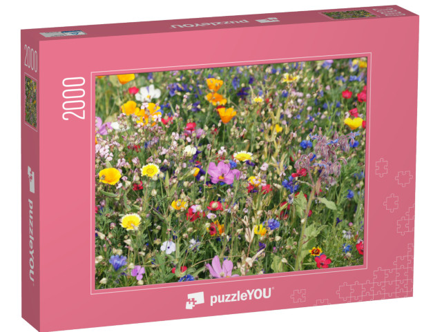 Puzzel 2000 stukjes „Een kleurrijke weide met wilde bloemen“