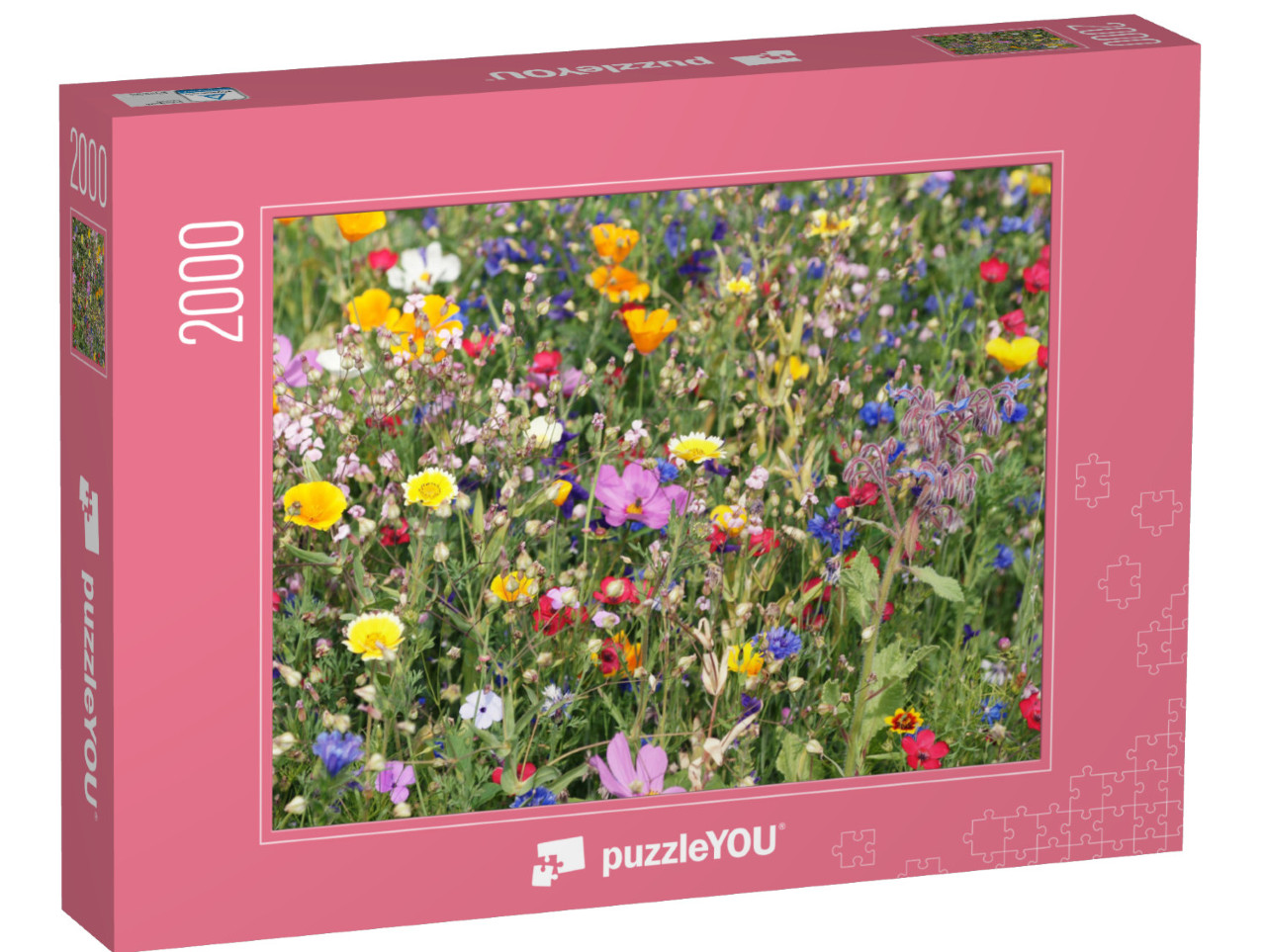 Puzzel 2000 stukjes „Een kleurrijke weide met wilde bloemen“