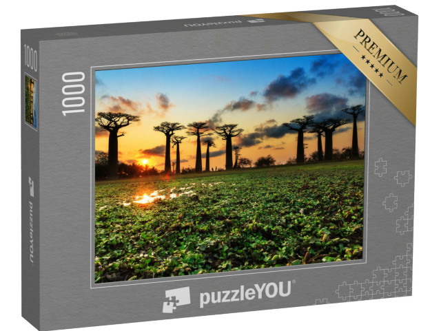 Puzzel 1000 stukjes „Oude baobabs op de baobabslaan, Madagaskar“