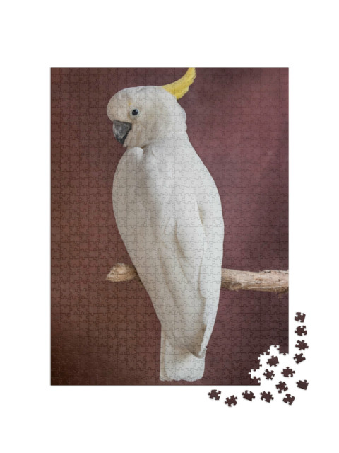 Puzzel 1000 stukjes „Witte papegaai op een tak“