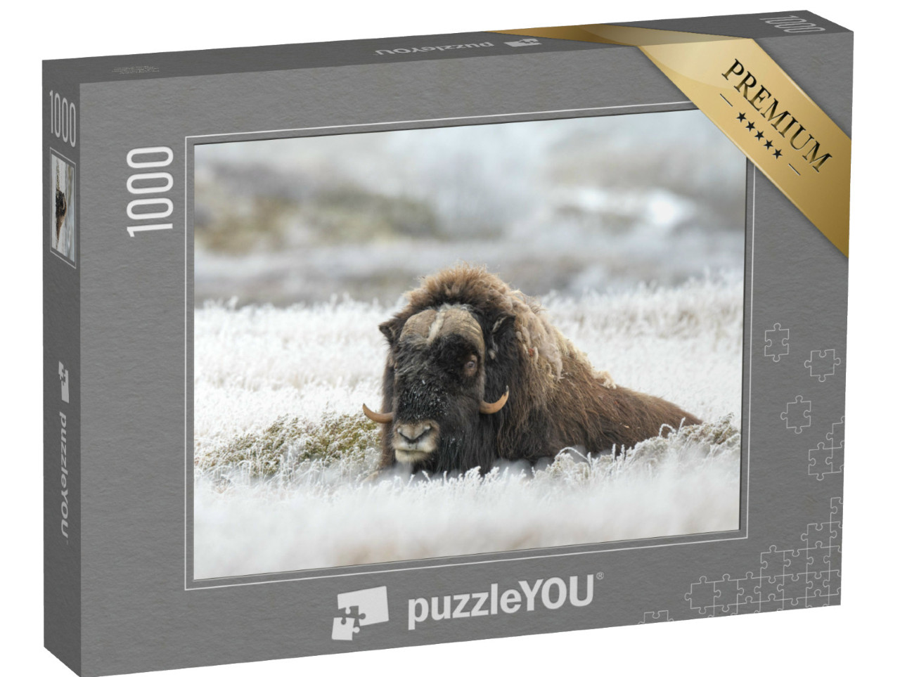 Puzzel 1000 stukjes „Muskusos op ijskoud gras“