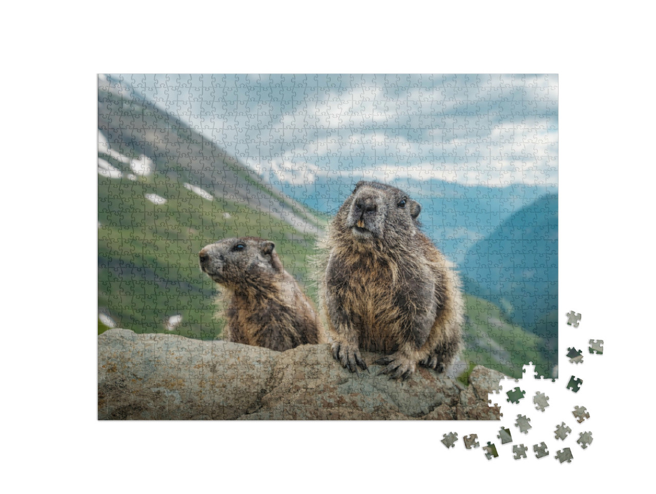 Puzzel 1000 stukjes „Twee marmotten en een prachtig uitzicht op de Großglockner“
