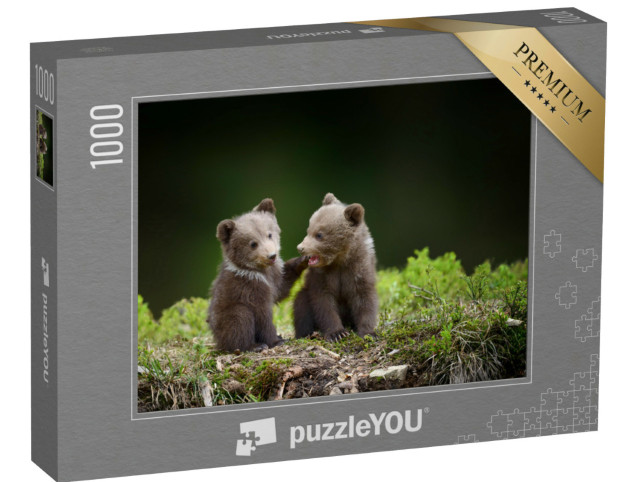 Puzzel 1000 stukjes „Twee kleine berenwelpjes in het bos“