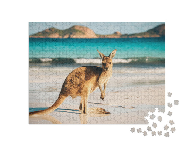 Puzzel 1000 stukjes „Kangoeroe, Lucky Bay, Cape Le Grand National Park, Australië“