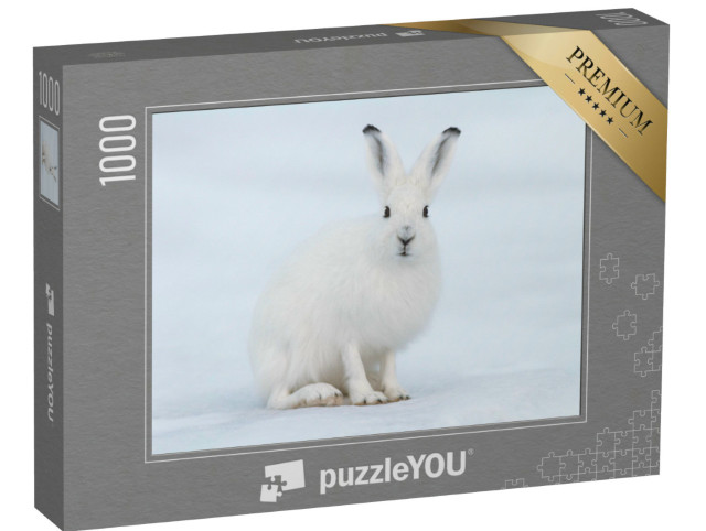 Puzzel 1000 stukjes „Een witte haas in de toendra, Siberië“