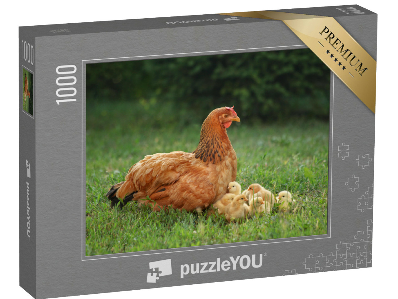 Puzzel 1000 stukjes „Moeder kip met haar kuikens op een groene weide“